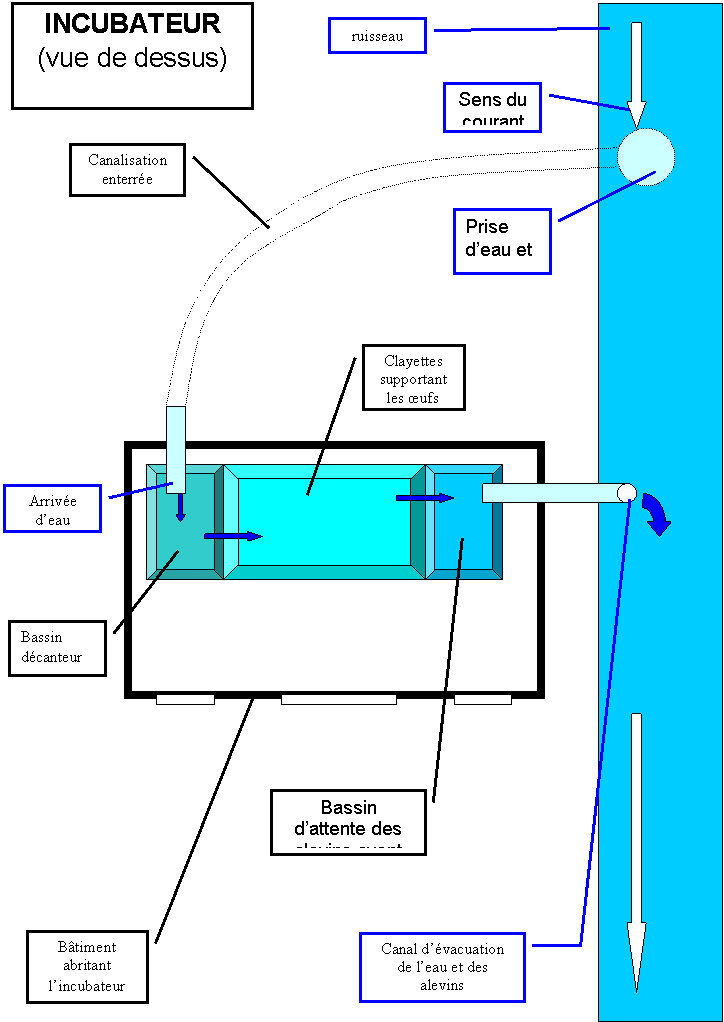 L'Incubateur page 8